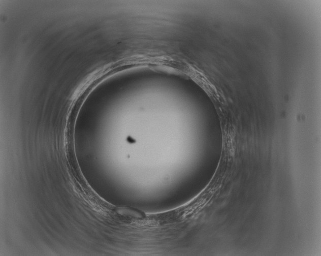 X0000085250340200703091303