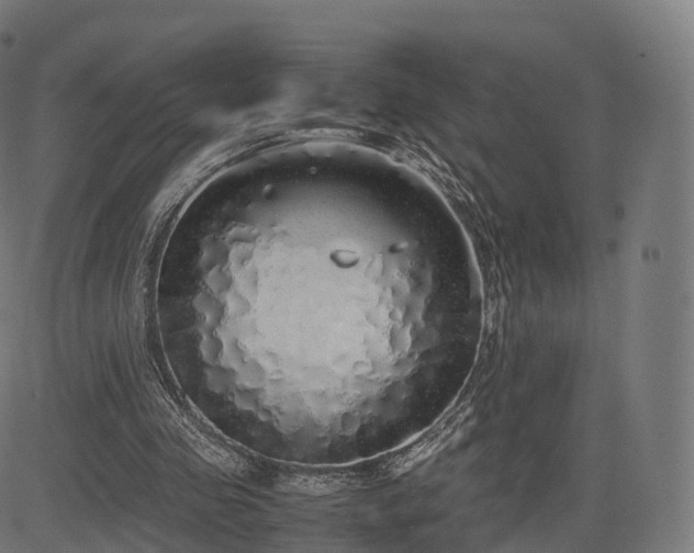 X0000085250341200703091303