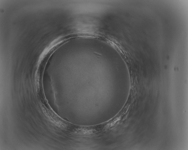 X0000085250343200703091303