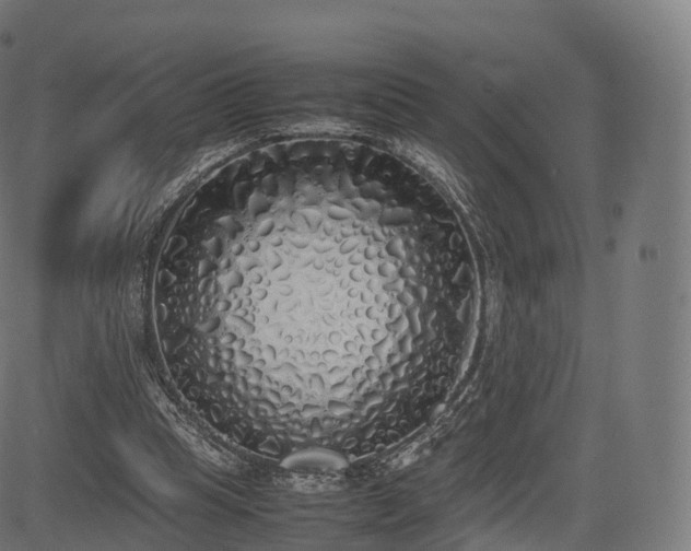 X0000085250345200703091304