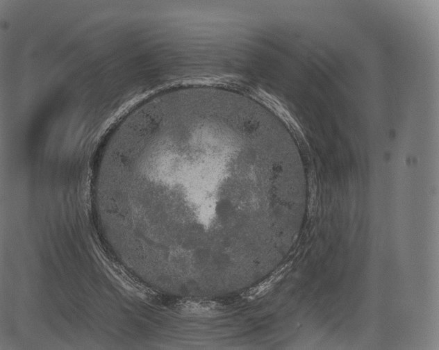 X0000085250346200703091304