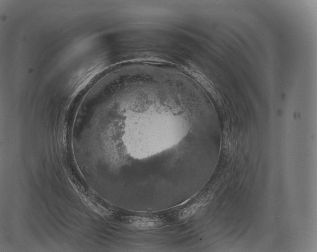 X0000085250347200703091304