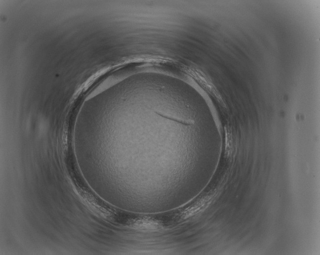 X0000085250348200703091304