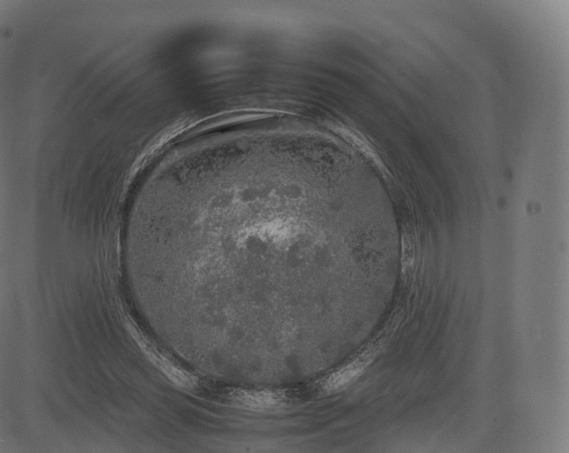 X0000085250349200703091304