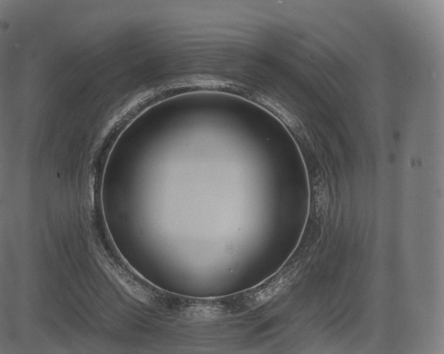 X0000085250350200703091304