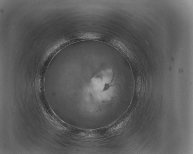 X0000085250351200703091304