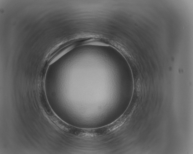 X0000085250352200703091304