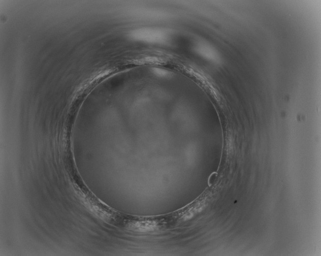 X0000085250353200703091304