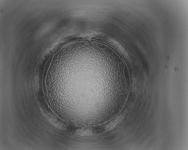 X0000085250354200703091304