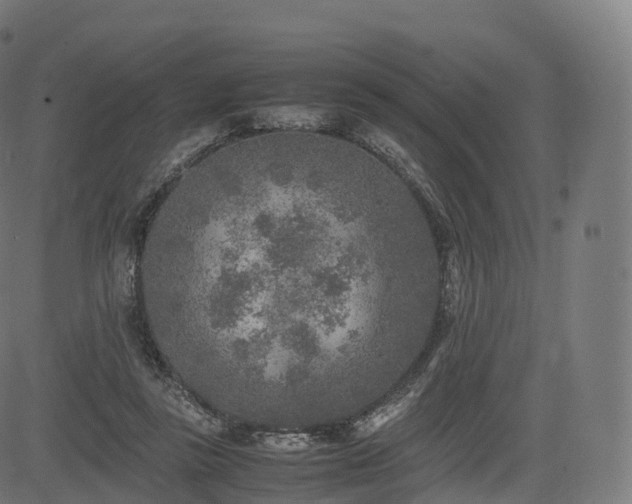 X0000085250355200703091304