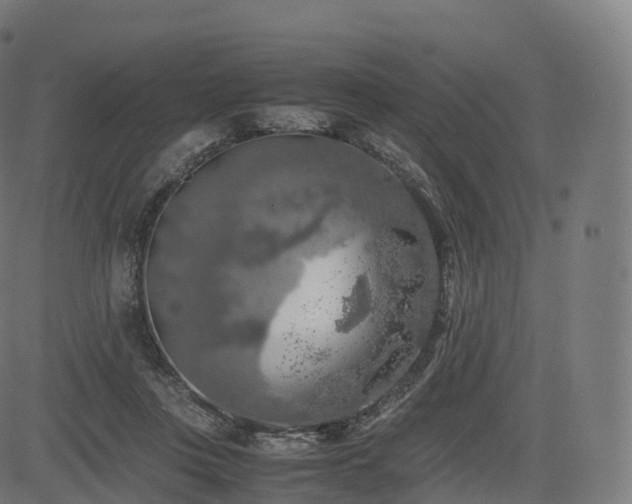 X0000085250359200703091304