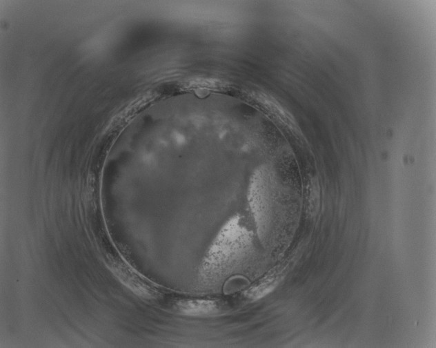 X0000085250361200703091304