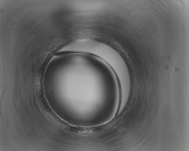 X0000085250362200703091304