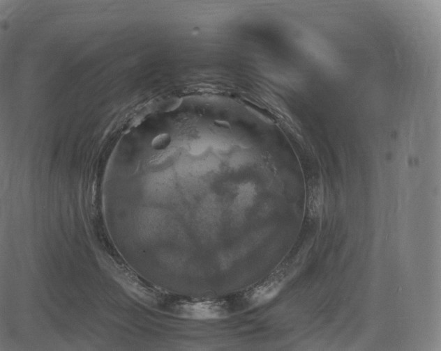 X0000085250365200703091304