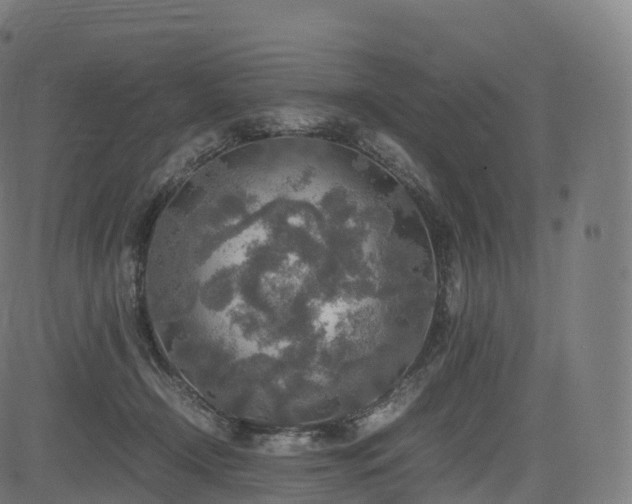 X0000085250366200703091304