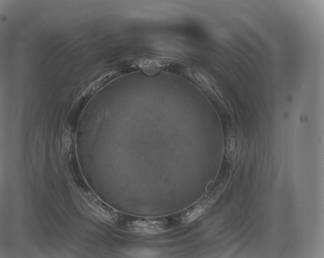 X0000085250367200703091304