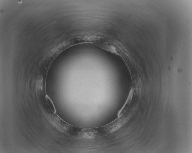 X0000085250368200703091304