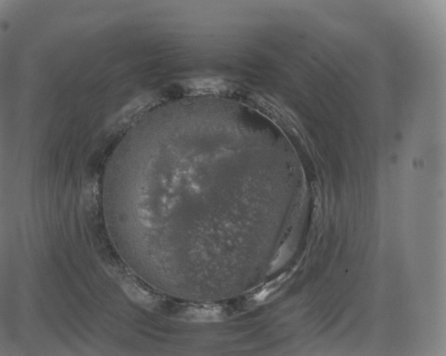 X0000085250369200703091304