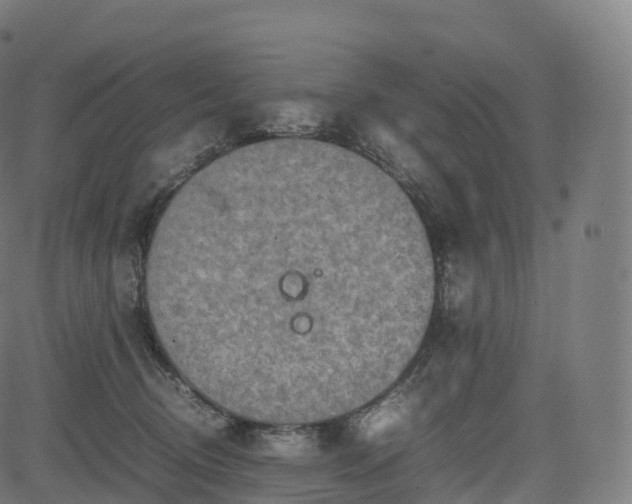 X0000085250370200703091304