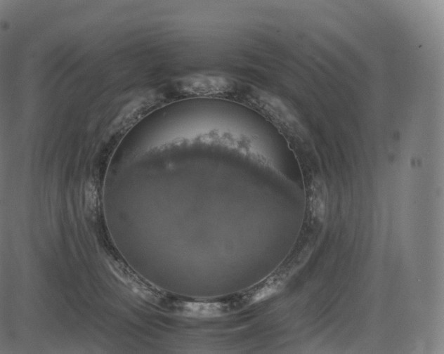 X0000085250371200703091304