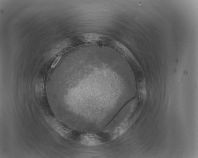 X0000085250372200703091304