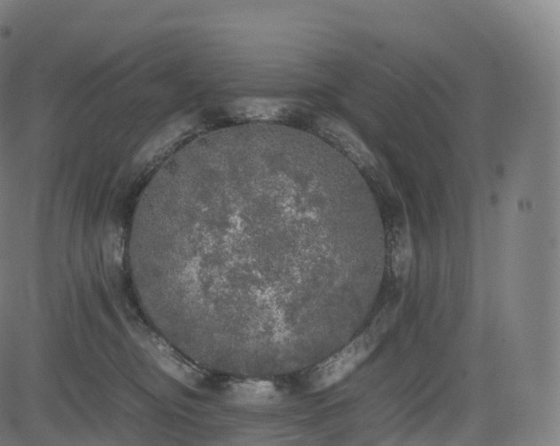 X0000085250374200703091304