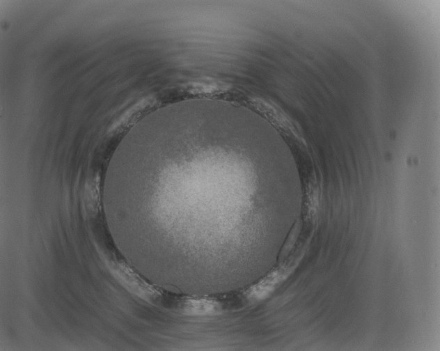 X0000085250376200703091304