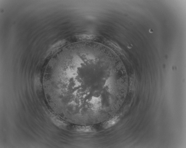 X0000085250377200703091304