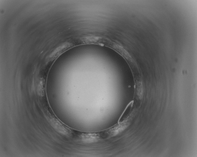 X0000085250378200703091304