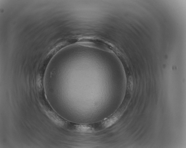 X0000085250380200703091304