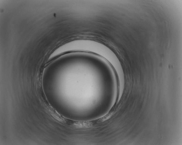 X0000085250381200703091304