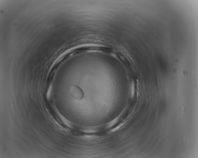 X0000085250382200703091304