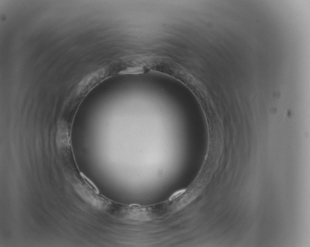 X0000085250384200703091304