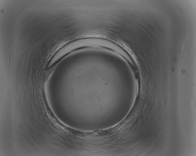 X0000085250385200703091303