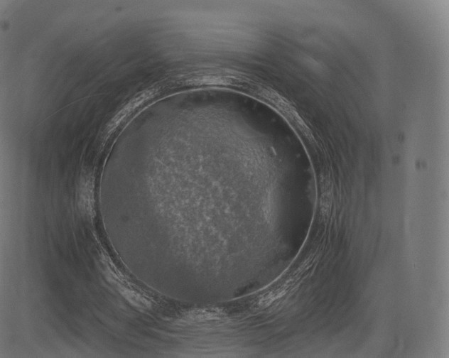 X0000085250386200703091303