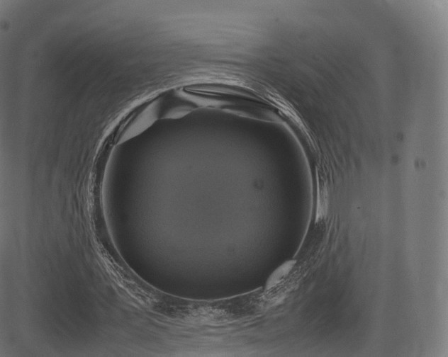 X0000085250387200703091303