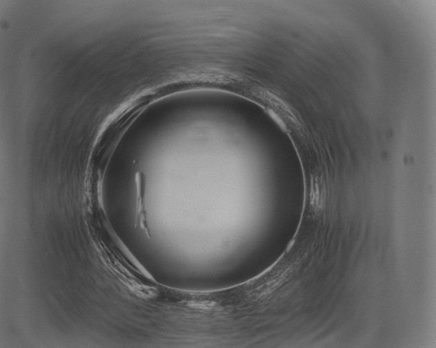 X0000085250388200703091303