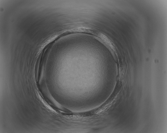 X0000085250389200703091303