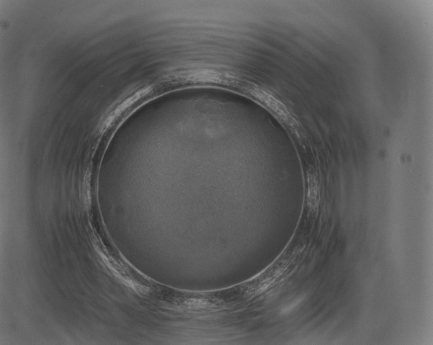 X0000085250390200703091303