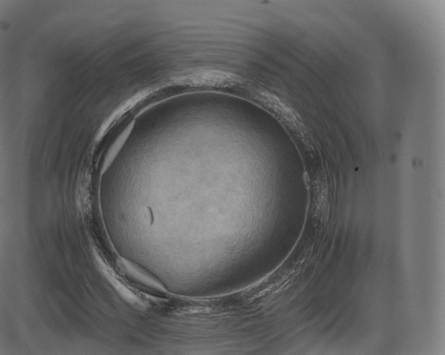 X0000085250392200703091303