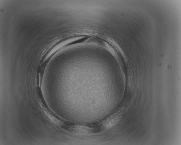 X0000085250393200703091303