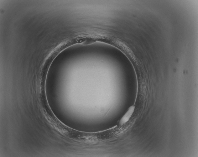 X0000085250395200703091303