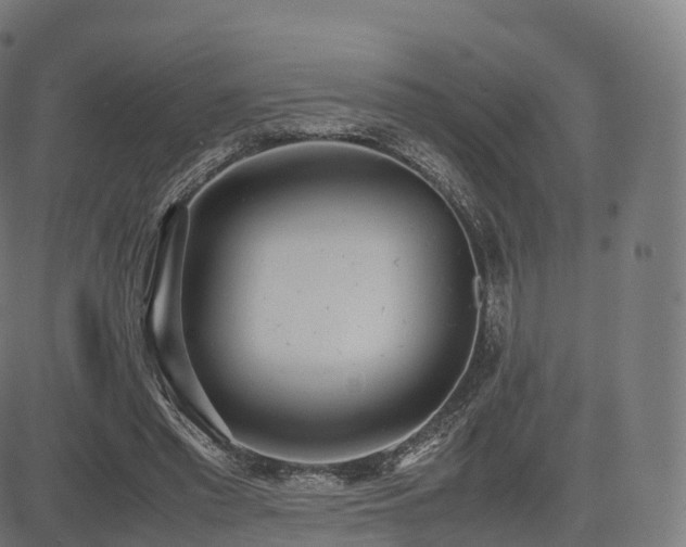 X0000085250397200703091303