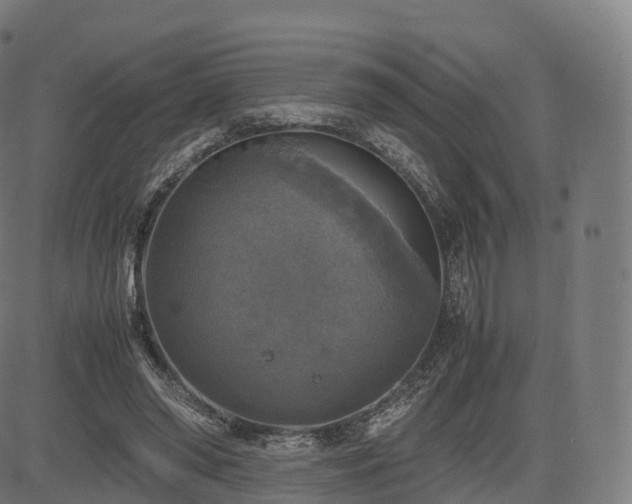 X0000085250398200703091303