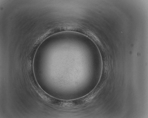 X0000085250401200703091303