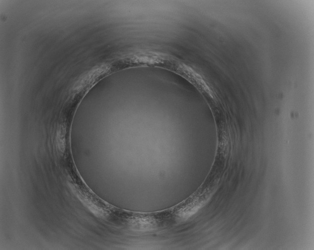 X0000085250402200703091303