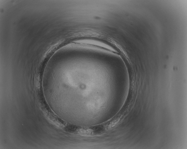 X0000085250403200703091303