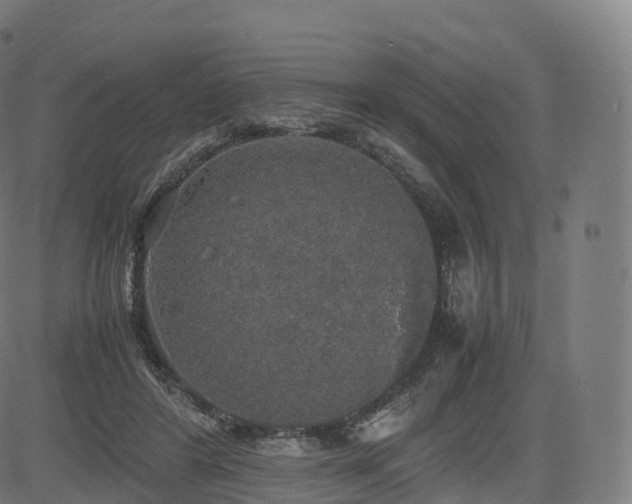 X0000085250404200703091303