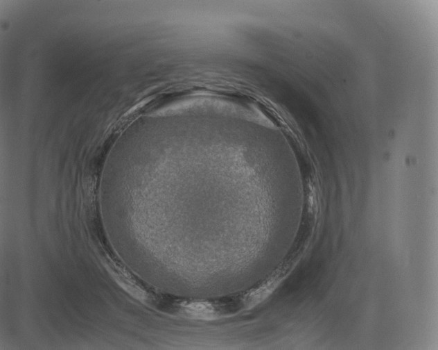 X0000085250409200703091303