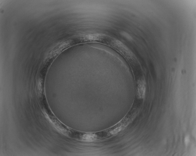 X0000085250410200703091303